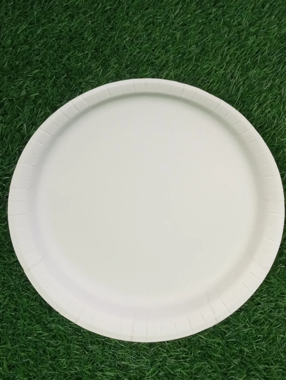 💩 Spring Floral Butterfly Party Paper Plates